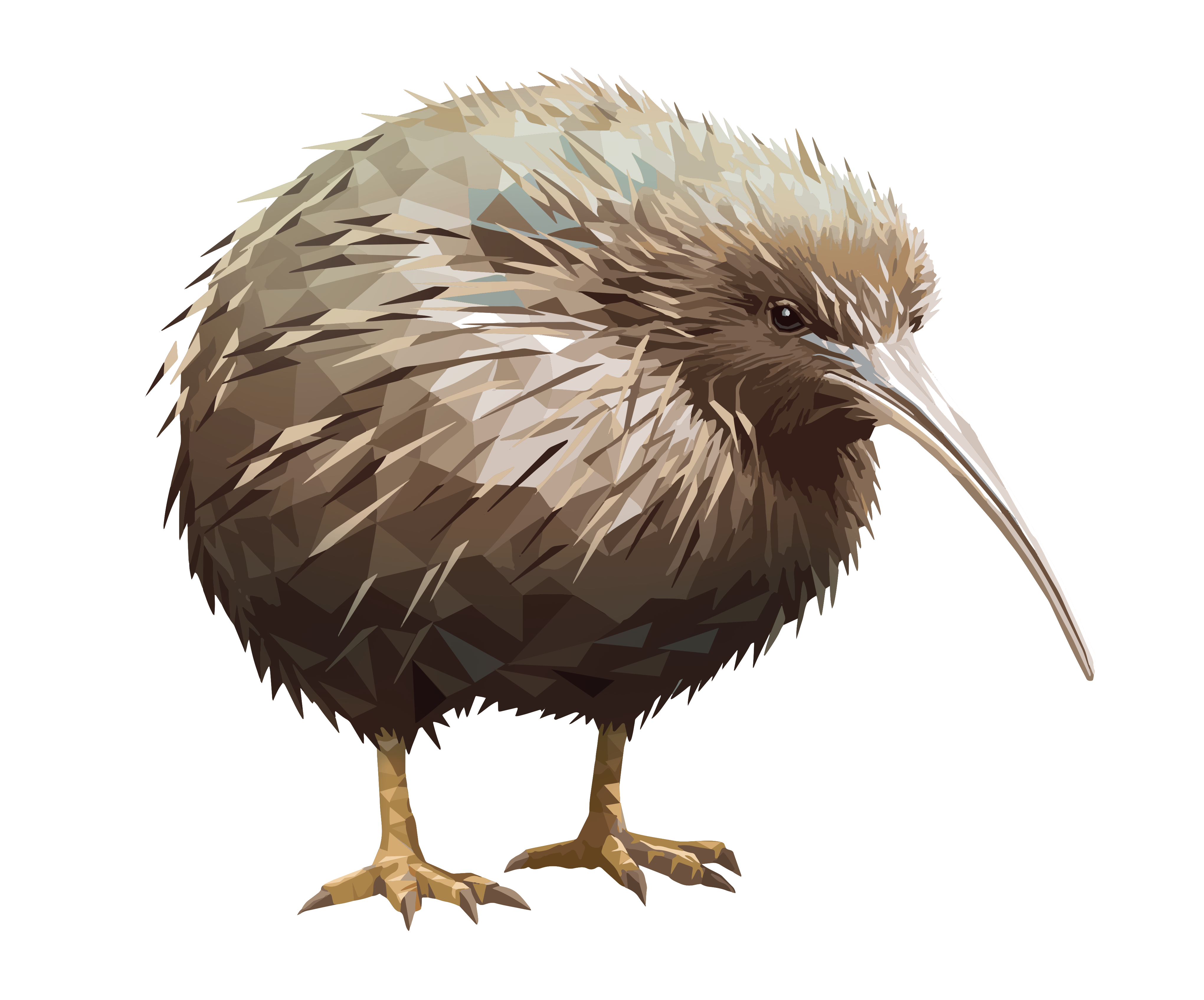 Kiwi