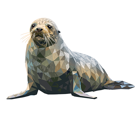 Seal