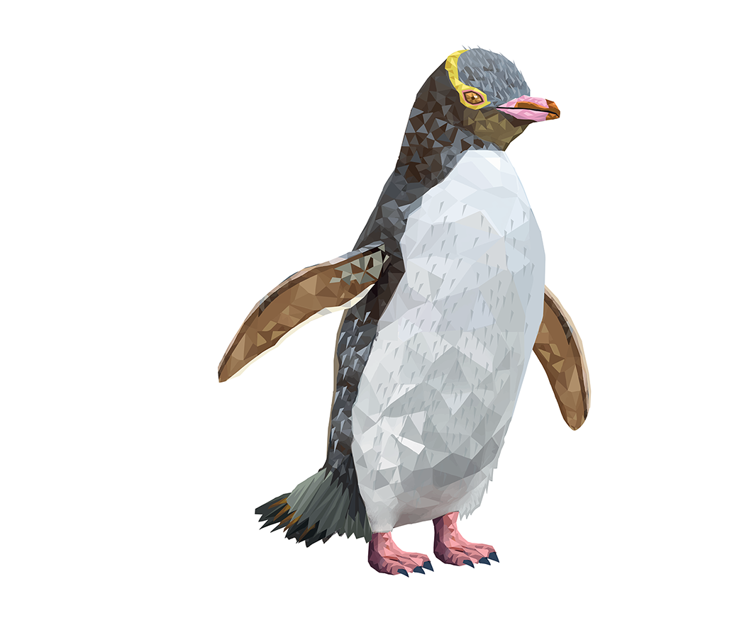 Penguin